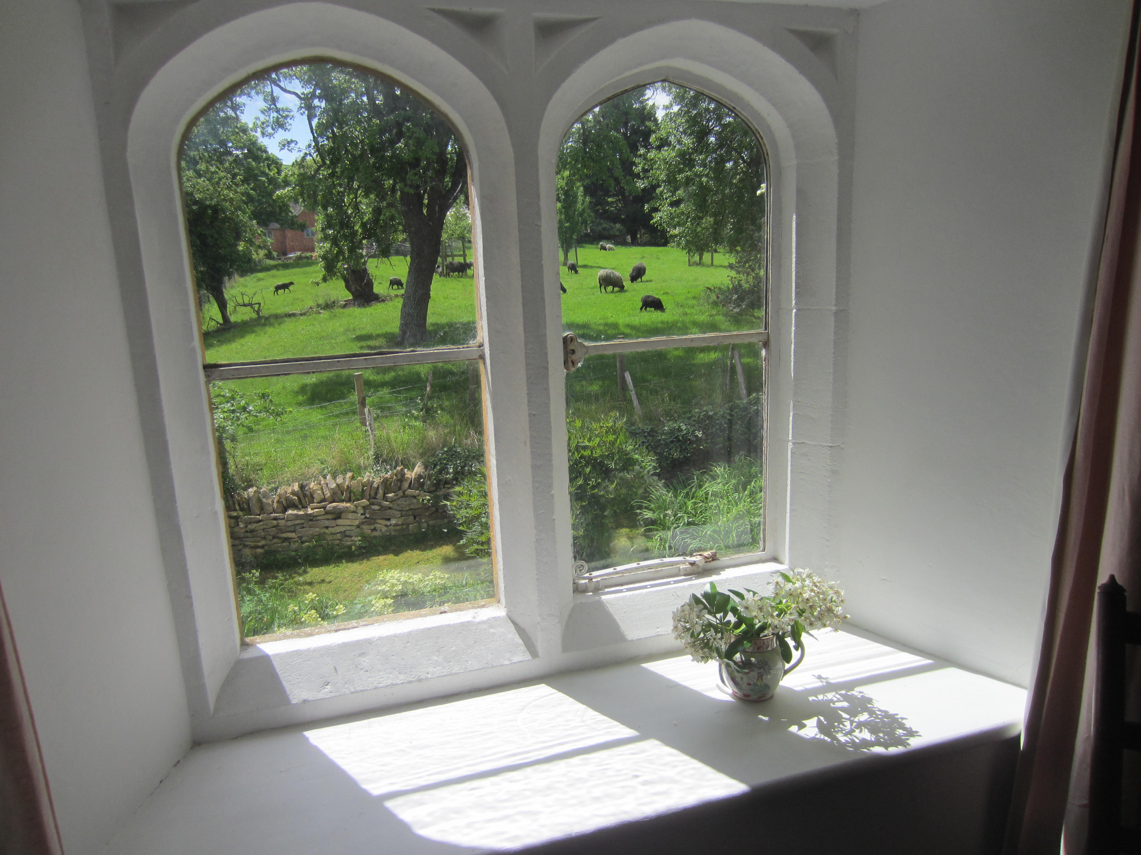 View of sheep from study